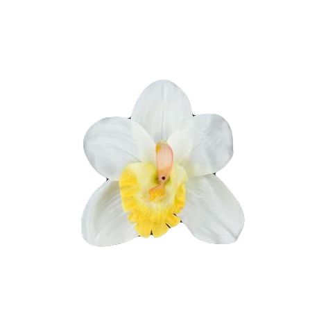 Orquídea satinada blanca y amarilla, 1 unidad.