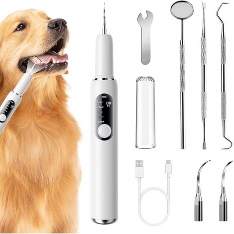 Nettoyage Dentaire Pour Chiens Et Chats - Appareil Électrique Anti-Tartre - 5 Modes De Nettoyage - Fonctionnement Silencieux IPX6 Étanche Rechargeable USB - Ensemble Complet Avec Embouts (1/5)