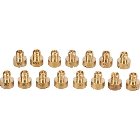 Raccord de Pulvérisateur en Acier Inoxydable, BSP G1/4 à 8mm, Accessoire pour Tuyau d'Arrosage (1/5)