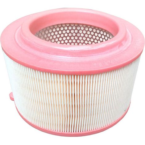 Filtre à air moteur voiture, installation facile, résistant à la corrosion, remplacement pour Ford. (1/5)