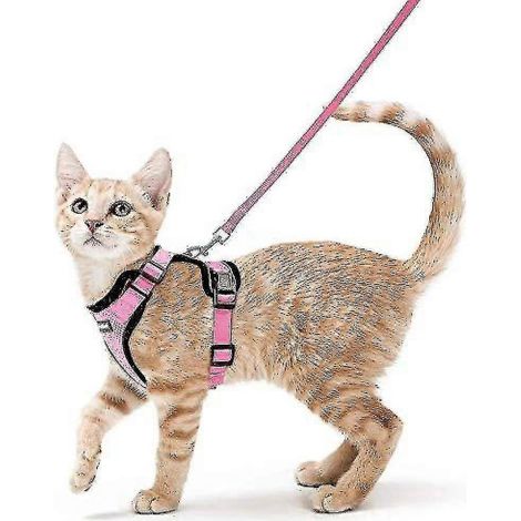 Harnais et laisse Rabbitgoo pour chat, harnais gilet souple et réglable anti-fugue pour chats, facile à contrôler-X Small-Pink