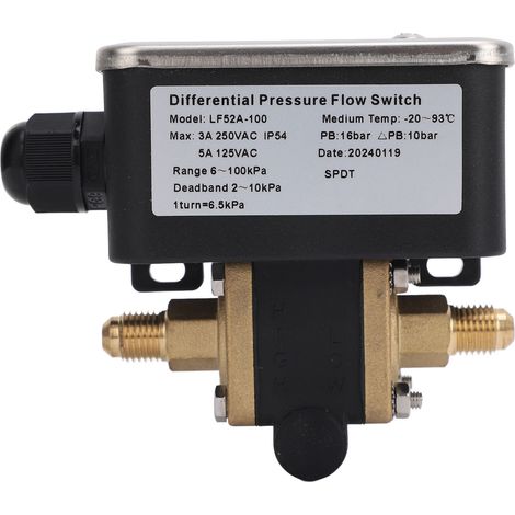 Débitmètre à pression différentielle réglable en acier inoxydable, 2 fils, 6 à 100 kpa, 125 V CA, 250 V CA (1/5)