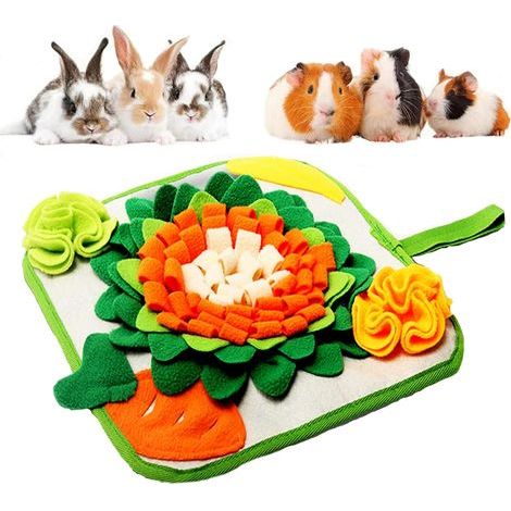 Futtermatte für Kaninchen, 30 x 30 cm – Grün und Orange – Interaktive Futtermatte – Leckerli-Spender – Geeignet für kleine Haustiere (1/5)
