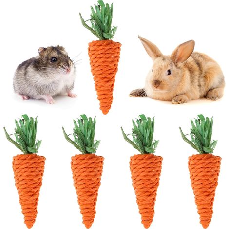 Lot de 5 jouets à mâcher en forme de carotte pour grincer les dents de lapin, chinchilla, carotte (1/5)