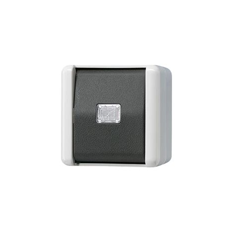 Jung Bouton-poussoir, 1 pôle, contact NO, 10 A 250 V , IP 44, WG 800 831 W