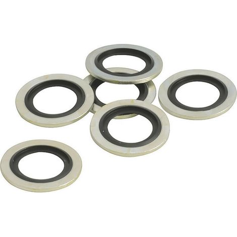 Ablassschraubendichtungen, Bs-Lippen, 16 mm Durchmesser