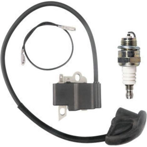 Bobine d'allumage haute tension compatible avec FS120, FS120R, FS200, FS200R, FS250 avec bougie (1/4)