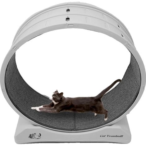 Ruota per gatti, giocattolo fitness da interno, portata massima 10 kg, colore grigio. (1/2)