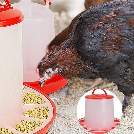 Distributeur Alimentaire Pour Poules - En Plastique - Avec Couvercle Et Séparateur - Capacité 1 kg à 11 kg - Pour Poulaillers Jardins Et Fermes (1/5)