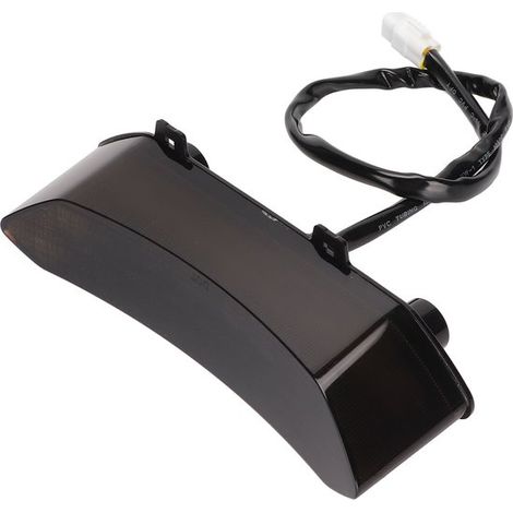 Adatto per fanali posteriori e luci freno a LED in ABS PC fumé nero. Compatibile con Raptor 700R 2006-2018. (1/5)