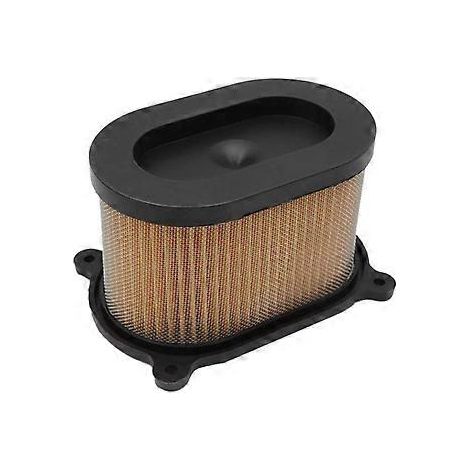 Filtre à air de remplacement pour motos GT250R, GT650R, GV650, GT650 et GT250 (1/5)