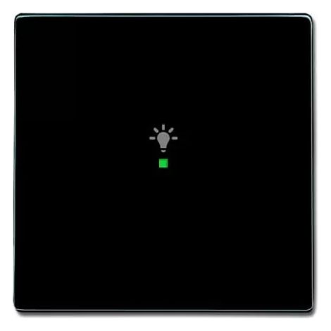 Busch-Jaeger Wippe 1-fach, Symbol Licht anthrazit 6231-10-81 (1/2)