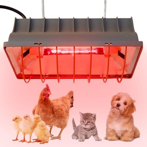 Lampe à lumière rouge pour poussins, 175 W, lampe chauffante pour poules, lampe infrarouge thermostatique automatique pour poulailler (1/5)