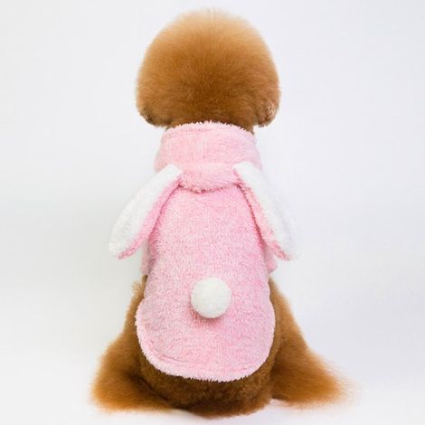 Sudaderas con capucha para perros de otoño/invierno: adorables suéteres de peluche para mascotas, orejas de conejo, pompones, Gris, XXL (1/5)