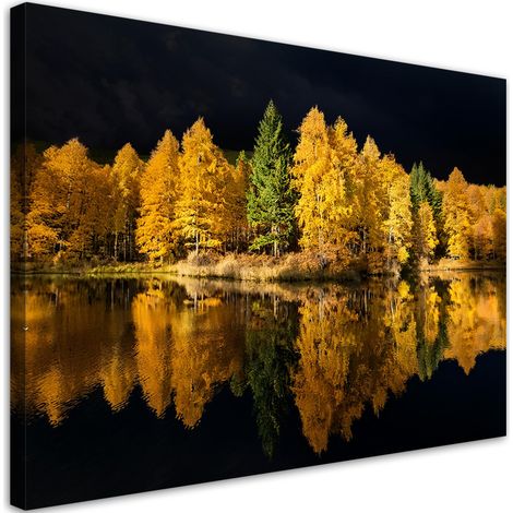 Tableau déco Arbres de forêt et de lac Nature 90x60 (1/5)