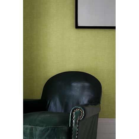 Papier peint intissé Crocodile Vinyle Expansé 1005 x 52cm Vert