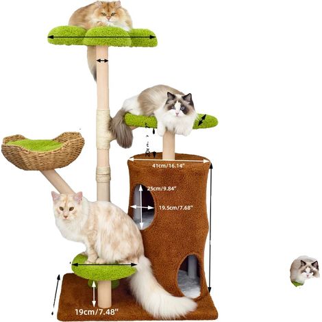 Arbre à chat, Structure stable, Confort élevé, 5-fatigué-GN (1/2)