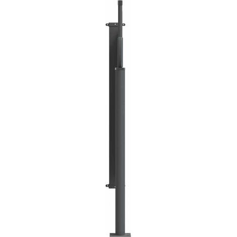 Rideau latéral rétractable, gris anthracite, 300 x 100 cm, polyester. (1/5)