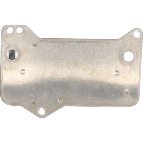 FT12494 radiatore rapido per cambio (1/5)
