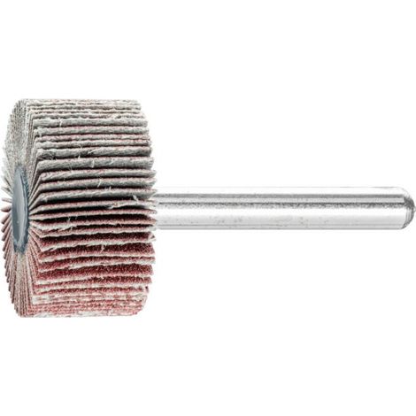 PFERD Fächerschleifer Ø 50 x H 30 mm Körnung 60 - 44503066