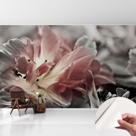 Fototapete Selbstklebend - Wandtattoo - leicht anzubringen - Wandverkleidung Pastellfarbene Blume 416x254 cm (1/5)