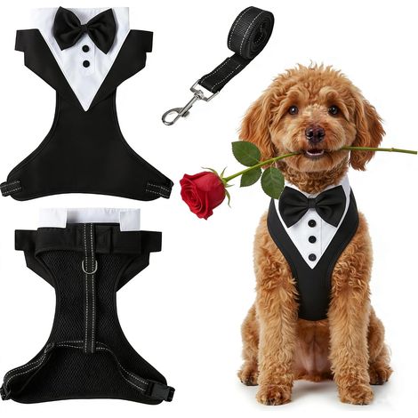 Set Harnais + Laisse Chien Smoking Noir M, Sans Tirage, Rembourré Réglable, Animal Compagnie, Confort, Robuste (1/5)