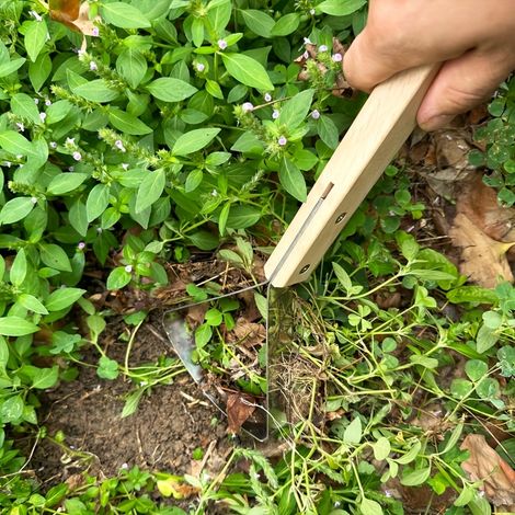 Désherbeur manuel, pour ameublir et désherber le sol du jardin, avec pointe pénétrant le sol et fonction d'extraction des racines. (1/5)