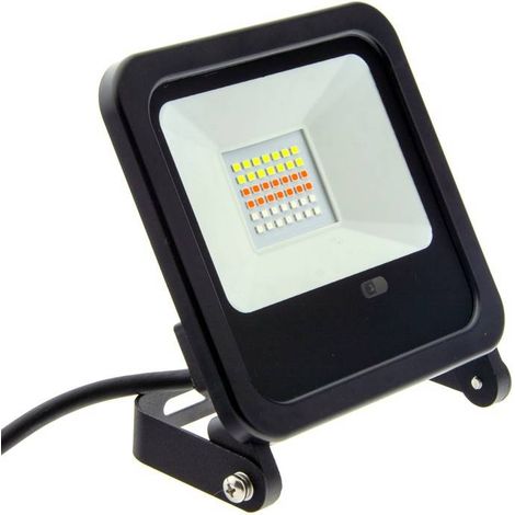 Proyector LED RGB 30W IP65 Con Mando 24 Teclas Y Estaca