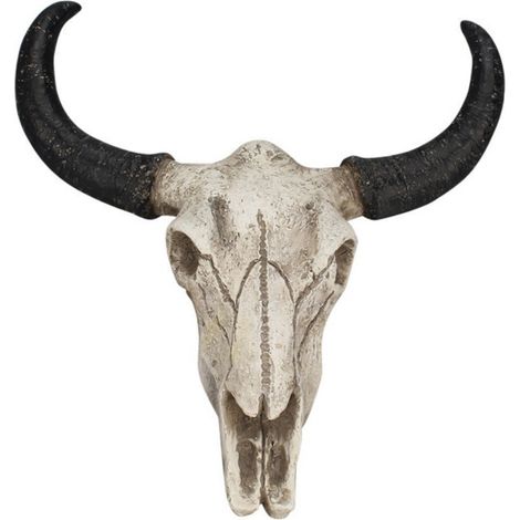 Crâne De Bœuf - Sculpture Murale En Résine - Décoration Intérieure Et Halloween - 23 x 22 x 6 cm - 1 Pièce (1/5)