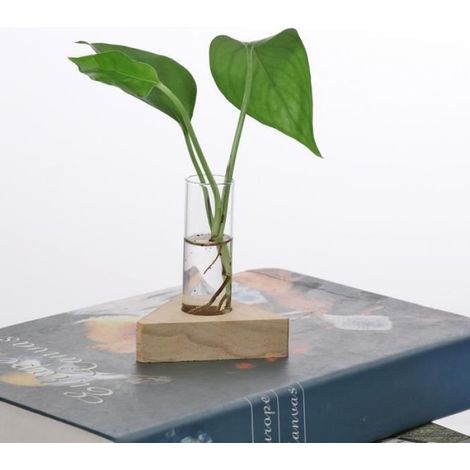 Tube À Essai En Verre - Support En Bois Pour Propagation Hydroponique - Décoration Intérieure - Lot De 3 Tubes Et 2 Supports (1/4)