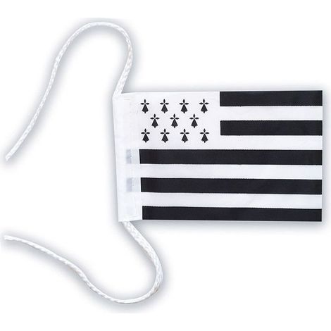 Drapeau breton - 10x15cm - Avec corde - Pour voiture - Idées cadeaux - Bretagne (1/2)