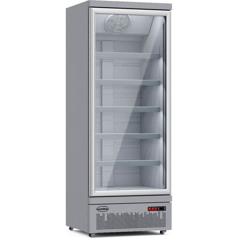 Armoire Réfrigérée Négative Grise avec Porte Vitrée 600 L - Combisteel
