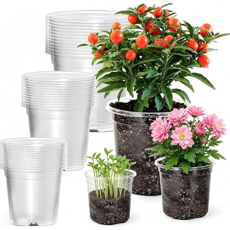 Lot de 36 pots à orchidées transparents - 9/10/13 cm - Réutilisables - Pots de plantes transparents pour plantes succulentes - Pots de fleurs transparents pour plantes - Pot de fleurs - Pot de culture (1/5)