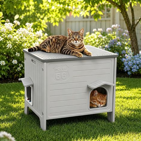 Outdoor Cat House Insulated and Waterproof Kennel Small/Medium Outdoor cat kennel with waterproof base and removable roof for easy care (1/5)