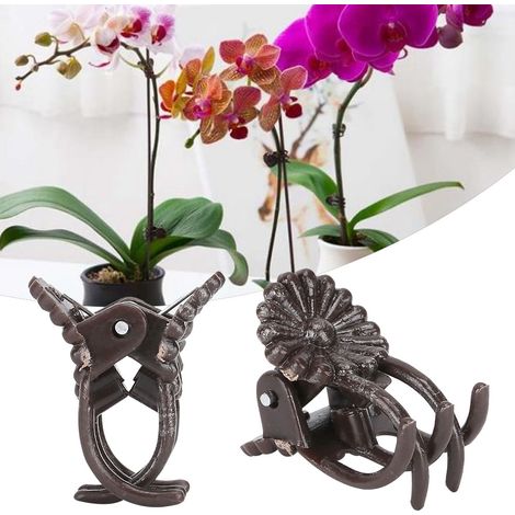 200 pinces à plantes en forme de fleur pour tiges d'orchidées, accessoires de jardinage, marron (1/5)