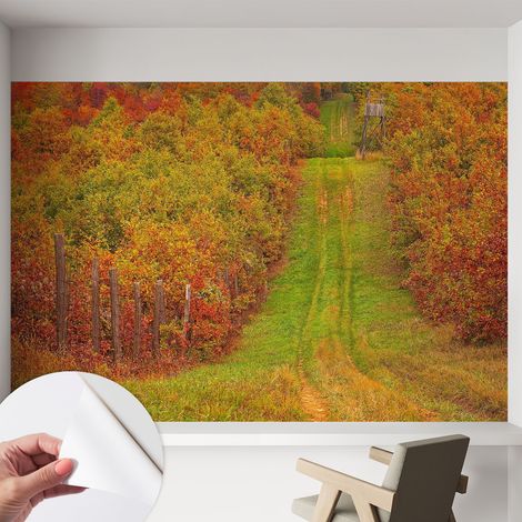 Papier peint autocollant adhésif avec motifs pour salon et chambre accessoire stylé pour votre intérieur Couleurs d'automne 152x104 cm (1/5)