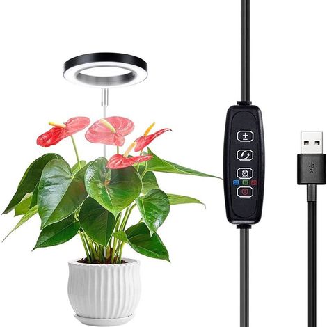 Lampe de croissance pour petites plantes en pot d'intérieur – Minuterie automatique 3/9/12 heures (1/5)