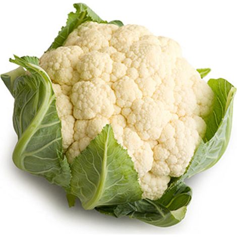 Semi di cavolfiore precoce  "Brassica oleracea" di Toscana piante per orto e giardino