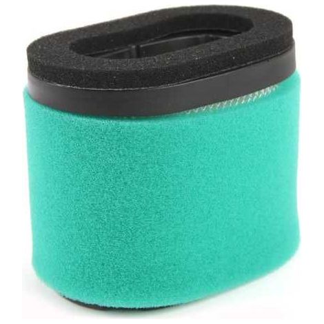 Filtre à air pour moteurs Briggs & Stratton Intek 121600 series (1/5)