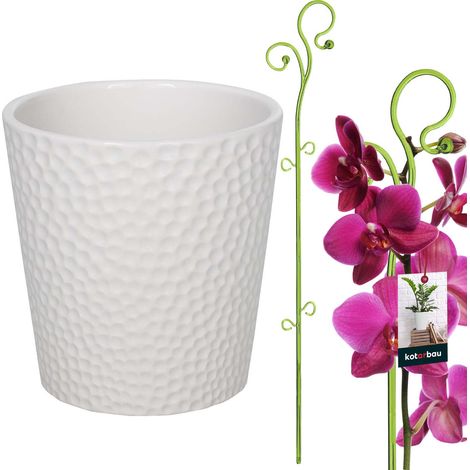 Ensemble de pots de fleurs blancs KOTARBAU® de 15 cm avec support vert de 58 cm pour fleurs, pot en céramique et support en plastique pour plantes, ensemble pour orchidées