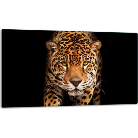 Tablero de corte de placa de vidrio 52x30 gato (1/5)