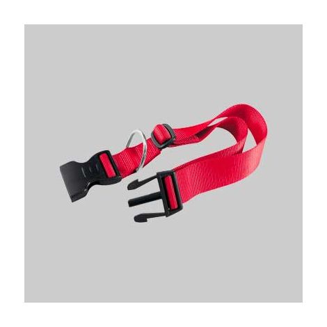 Collare per cani club c mm 20 x cm 36&divide56 - col. blu