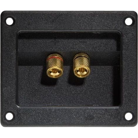 5 Bornier für Lautsprecher - Quadratisch - Gold