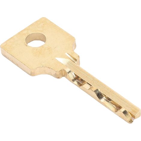 Ersatzschlüssel F 50, Aluminiumlegierung, für Schloss (1/5)