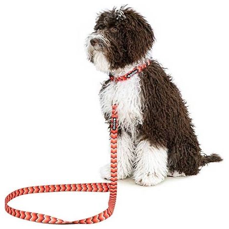 Guinzaglio Fantasia Serpente e Mio Dog SNAKE ROSSO - 2x120cm