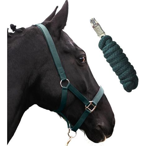 grünes, gestricktes Pferdehalfter, verstellbar aus Nylon, 2 Positionen, für Ponys, Vollblüter, Full-Over- und Cross-Full-Pferdehalfter, für Stall und Weide (1/5)