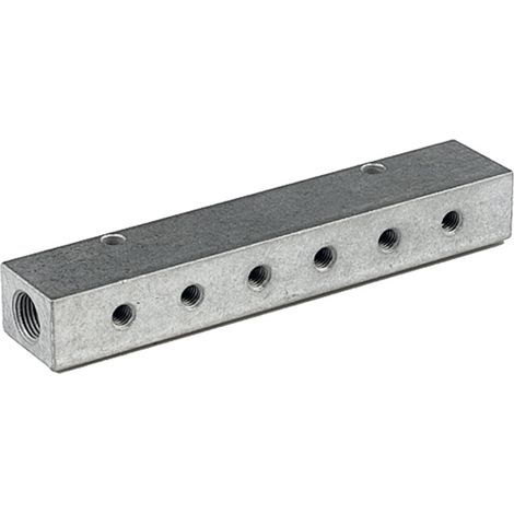 Riegler Verteilerleiste, Abgänge einseitig, Eingang 2x1/4, Ausgang 2x1/8 (1/3)