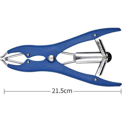 Clip elástico de acero inoxidable, 100 anillos de goma, 21,5 cm, azul. (1/2)