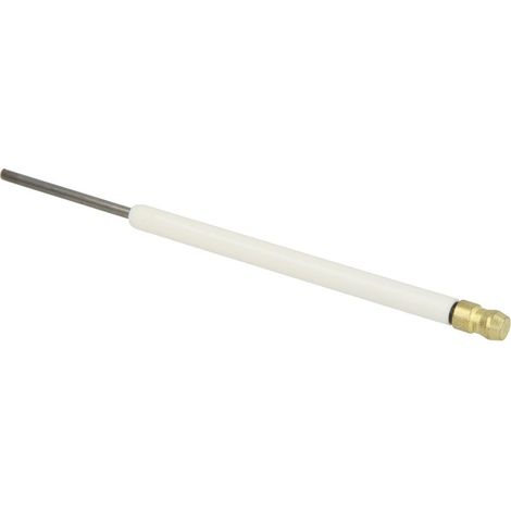 Electrode d’ionisation