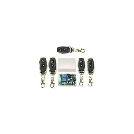 Telecomando wireless a 2 canali 433 MHz – Portata fino a 100 m – Apprendimento del codice di sicurezza – Per finestre e porte da garage – Crezuo